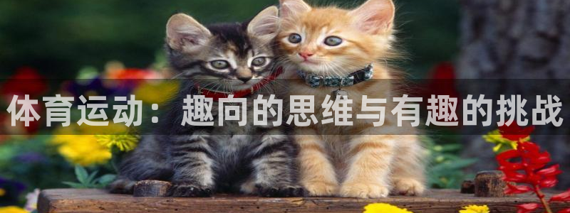 沐鸣23官网登录