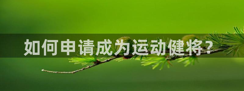 沐鸣23代理