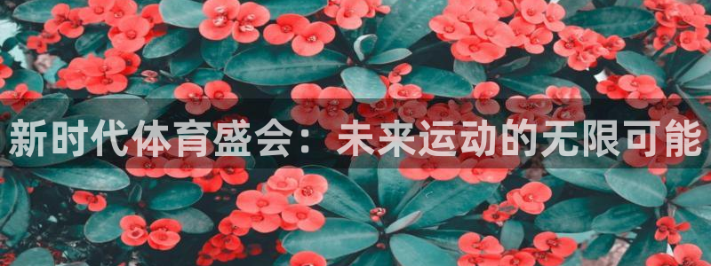意昂总代