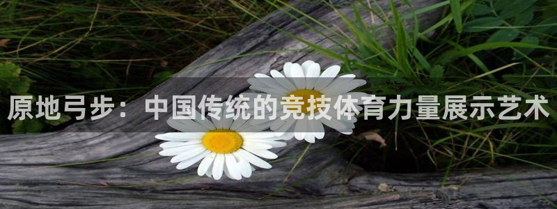 沐鸣24代理