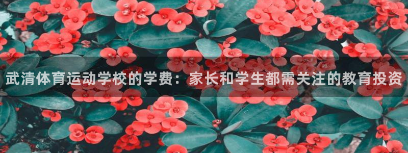 沐鸣24