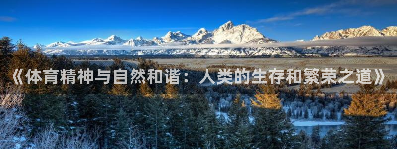 沐鸣2凯捷平台