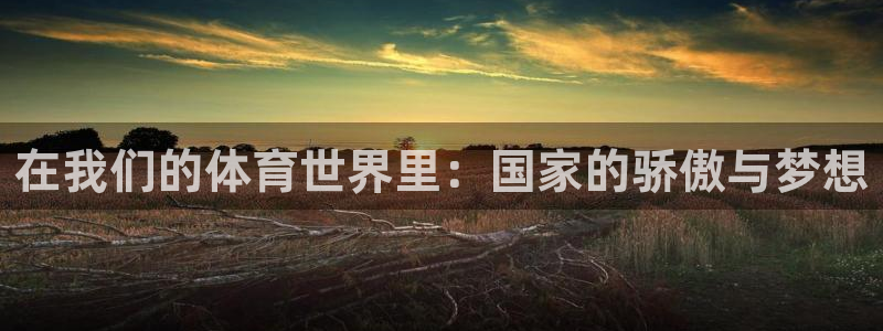 沐鸣2体育4