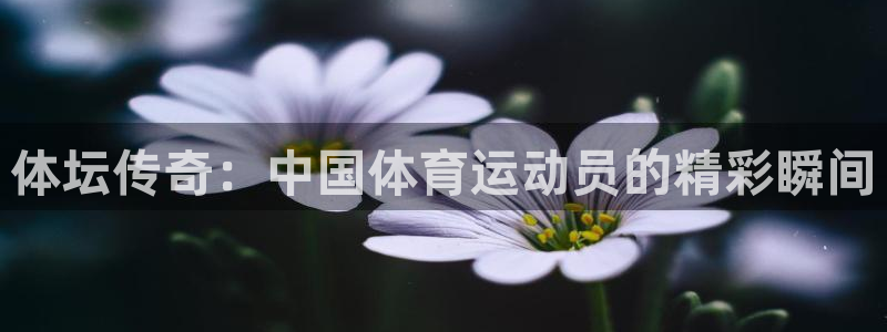 沐鸣2