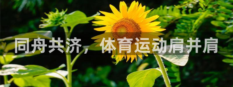 沐鸣2f凯捷注册