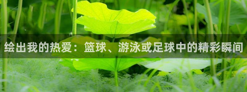 沐鸣2体育凯捷平台注册