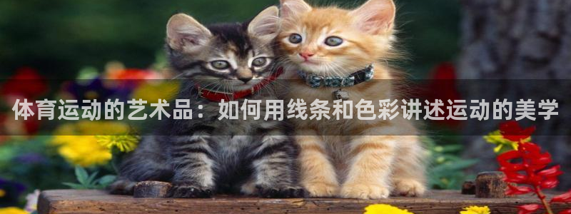 成都沐鸣2电子有限公司