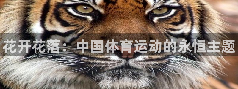 意昂是什么品牌