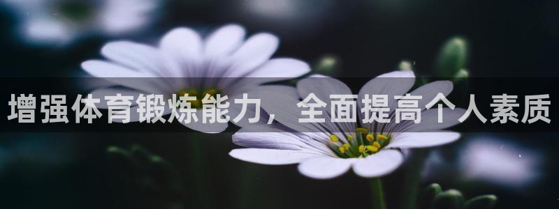 意昂集团