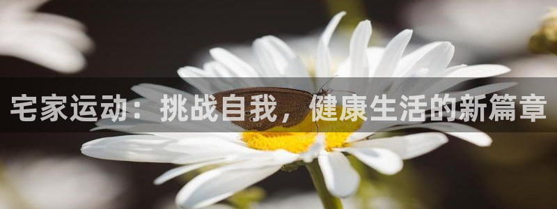 沐鸣23平台注册