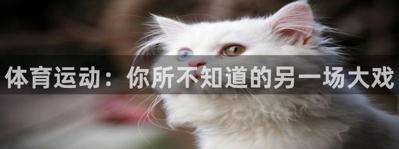 沐鸣2代理注册