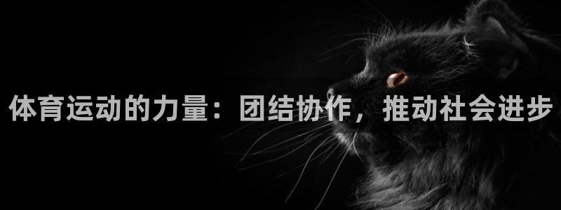 沐鸣2体育注册代理