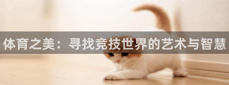 德国沐鸣2集团