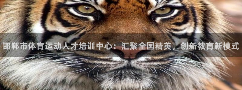 沐鸣2体育f开户