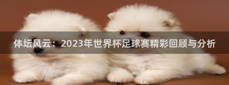 德国意昂集团