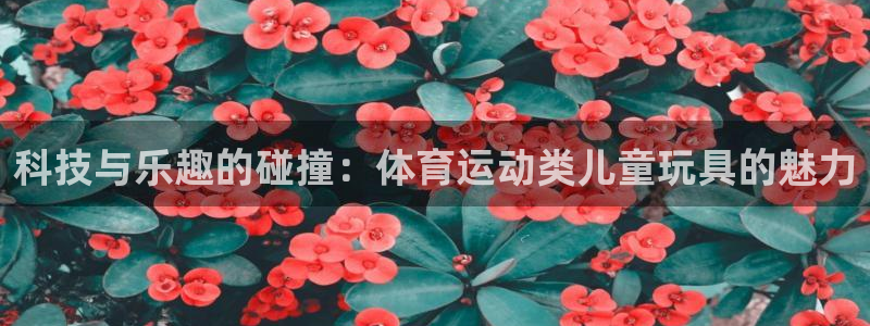 沐鸣2体育